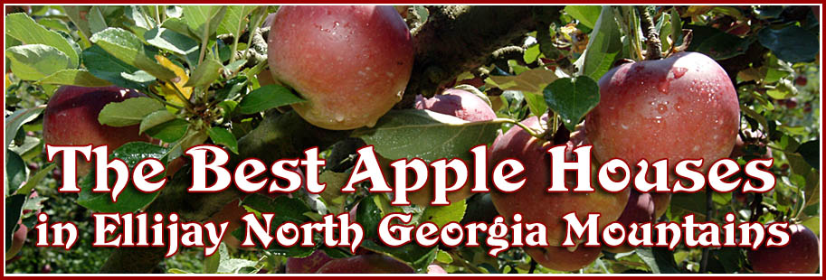 Apple Alley in Ellijay Georgia
