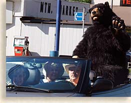 Gatlinburg Tennessee  Bear