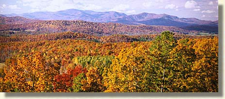 Rich Mountain Wilderness